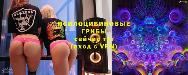 2c-b Абаза